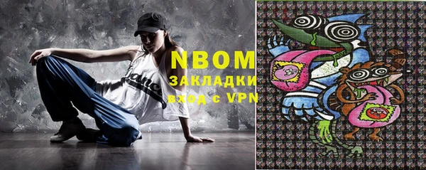 индика Алексин