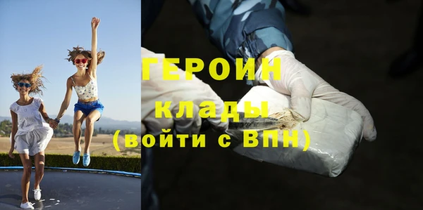 прущие грибы Абинск