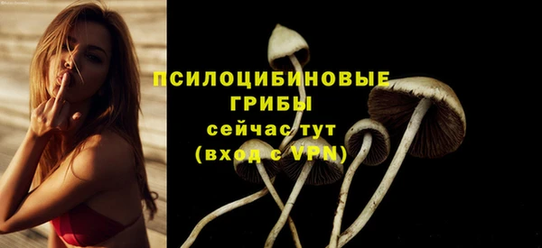apvp Абдулино