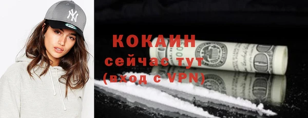 прущие грибы Абинск