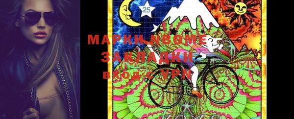 прущие грибы Абинск