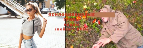 каннабис Абаза